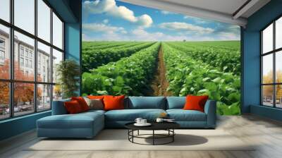 Field with agriculture Wall mural