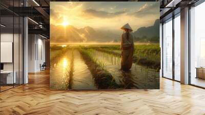 Sunrise Over Rice Paddy Fields Wall mural