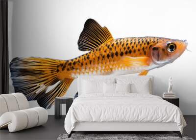 acestrorhynchidae fish, transparent background Wall mural