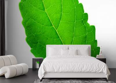 Medicinal holy basil or tulsi leaves isolated on white background. Clipping path. Wall mural