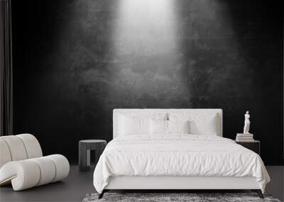 Studio room gradient background. Abstract black white gradient background. Wall mural