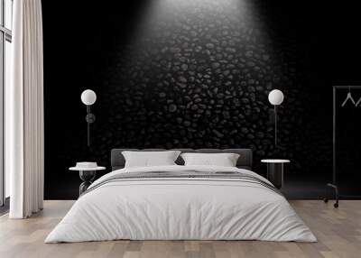 Studio room gradient background. Abstract black white gradient background. Wall mural