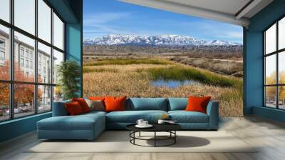 Snow in the mountains and dried grass in the foreground near San Jacinto Wildlife area in Perris, California Wall mural