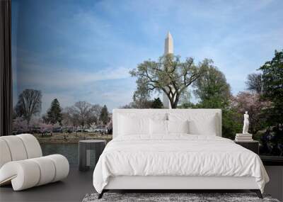 Washington DC panorama during cherry blossom. Blossoming cherry trees around Tidal Basin reservoir with Washington Monument in a view on national Mall. Wall mural