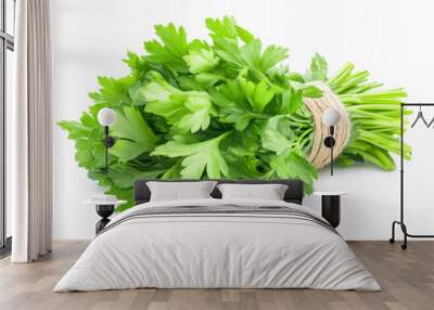 A bundle of fresh parsley tied together with natural twine, its rich green leaves spreading Wall mural