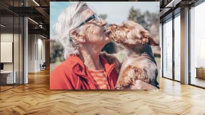 Grandmother and lovely puppy dog getting love yourself outside in the garden, hug  the pet Wall mural