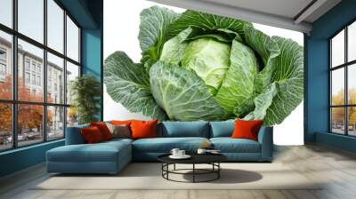 Green cabbage isolated on white backgroundGreen cabbage isolated on white background  Wall mural