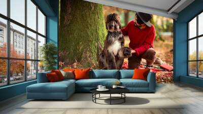 a handsome, brutal man in a red sweater and hat, sitting under a tree, in the park during the day, in autumn, with a large pedigreed dog Afghan hound Wall mural