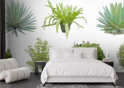 set of watercolor hand drawn paintings with asset illustrations of green plant tree isolated on white background. High resolution transparent PNG, random plants and bush Wall mural