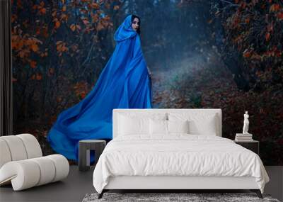 Gothic mysterious woman walks in fantasy autumn forest. long silk blue cloak flutters, waving fly in wind, fabric in motion. Head hood. Girl princess looks back. Fallen orange leaves dark trees, fog. Wall mural