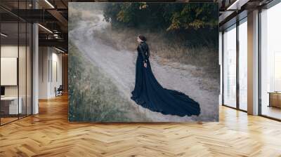 silhouette of gothic lady from old fantasy horror movie. Walks along the road in the autumn forest. Beautiful vampire. Black vintage dress with long train. design Old dark fashion. Halloween holiday Wall mural