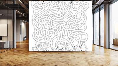 Funny ostriches with long, tangled necks. Children logic game to pass maze. Educational game for kids. Attention task. Choose right path. Funny cartoon character. Coloring book. Vector illustration Wall mural