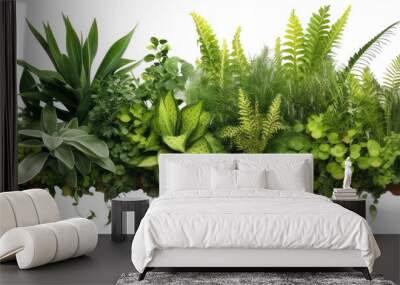 garden plants isolated on transparent background Wall mural