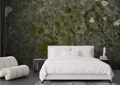 Green moss in stone on background Wall mural