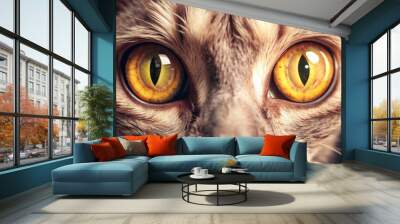 closeup cat eyes in dark. Wall mural