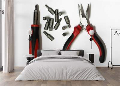 Screwdriver,pliers and other on white background with copy space. Wall mural