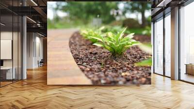 Hosta and flowering Euphorbia plants growing in a garden border with wood bark chippings Wall mural