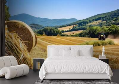 Rolls of hay on a farm in the countryside Wall mural