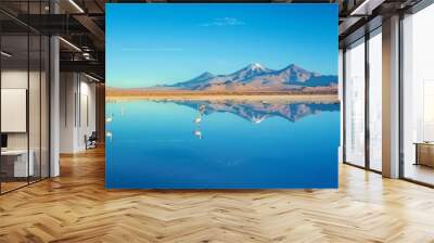 Scenic view of a calm lake reflecting the surrounding mountains and blue sky in a Colorado landscape Wall mural