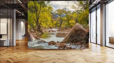 Large stones among water flow. The Virgin River flowing through Zion National Park, Utah, USA Wall mural