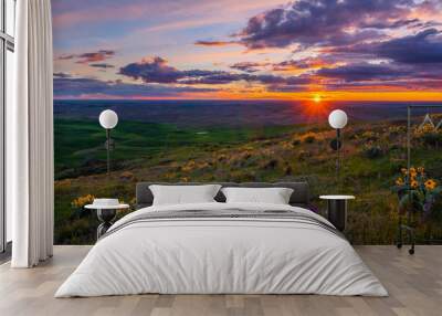 Wildflowers on Steptoe butte state park, spring, Eastern Washington Wall mural