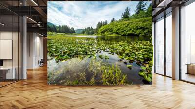 Yurok Loop trail, Redwoods National Park Wall mural