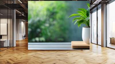 A potted green plant in a white ceramic pot placed on a wooden surface, with a blurred green natural background. Wall mural