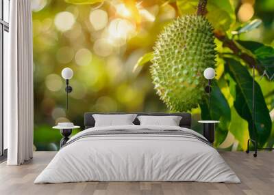 Close-up of a green soursop fruit hanging from a tree branch with lush foliage in the background and sunlight filtering through. Wall mural