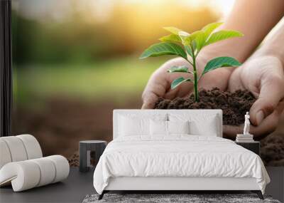 Close-up of hands planting a young sapling in rich soil, symbolizing growth, sustainability, and environmental care. Wall mural