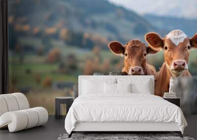 Two curious cows stand behind a fence in a picturesque rural landscape, with rolling hills and autumn foliage. Wall mural