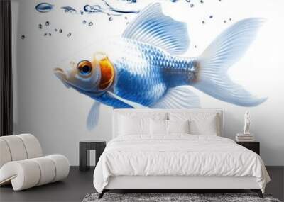 Vibrant Goldfish Swimming in Clear Water Wall mural