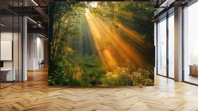 Vivid rays of sunlight filter through the trees, illuminating a lush green forest path. Wall mural