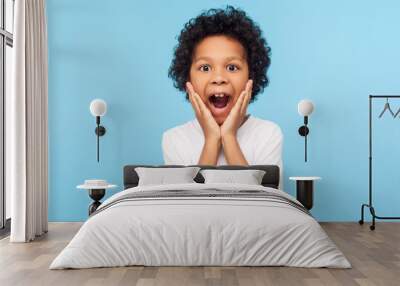 Oh my god, wow! Portrait of funny amazed preschool boy looking at camera with shocked astonished expression and keeping hands on face, screaming in surprise. studio shot isolated on blue background Wall mural