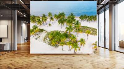 Peaceful tropical paradise with lush green palm trees, scenic coastline, and crystal-clear water Wall mural