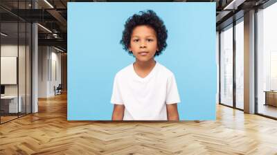 Portrait of cute little boy with stylish curly hairdo in white T-shirt standing, looking at camera with serious attentive face, calm pensive expression. indoor studio shot isolated on blue background Wall mural