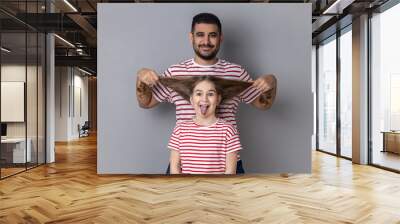 Portrait of happy funny father and daughter having fun, cute kid showing tongue out, dad pulling her hair, expressing positive emotions. Indoor studio shot isolated on gray background. Wall mural