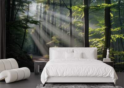 the golden hour sun filters through the lush green canopy, illuminating a serene forest trail with n Wall mural