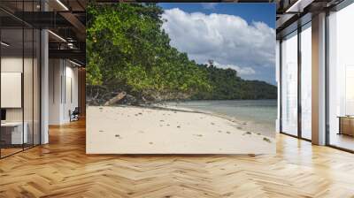 Wild Island and sandy beach with no people, Andaman Sea. Island Hopping in Langkawi. Family vacation and tours in Malaysia.  Wall mural