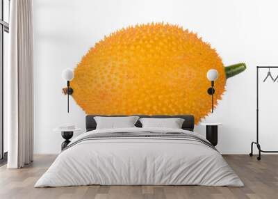 Gac fruit isolated on white background Wall mural