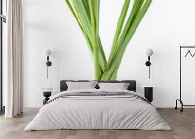 Lemon grass isolated on the white background Wall mural