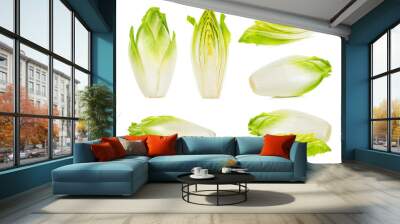 Slice chicory isolated Wall mural