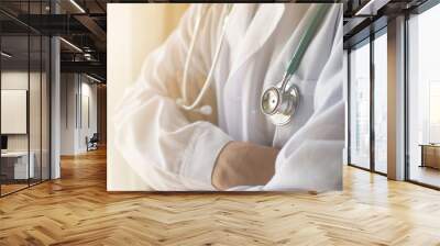 Medical doctor or physician staff in white gown uniform with stethoscope in hospital or clinic service, healthcare concept. Wall mural