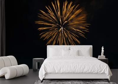 fireworks Wall mural