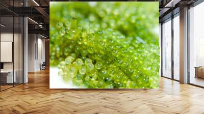 green caviar Wall mural