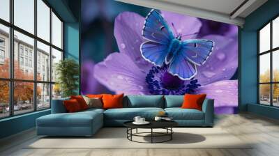 Beautiful purple blue butterfly on an anemone forest flower in spring nature, close-up macro. Wall mural