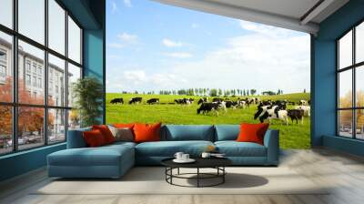 cows Wall mural