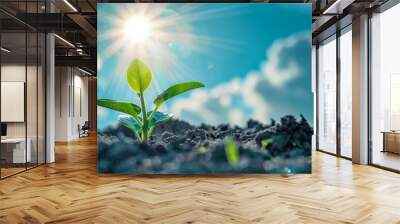 Young plant growing under bright sunlight and blue sky. Concept of growth and new beginnings Wall mural