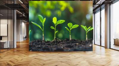 close-up of saplings growing on field Wall mural