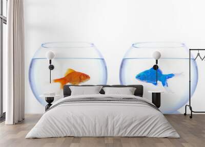 alien goldfish and normal goldfish Wall mural