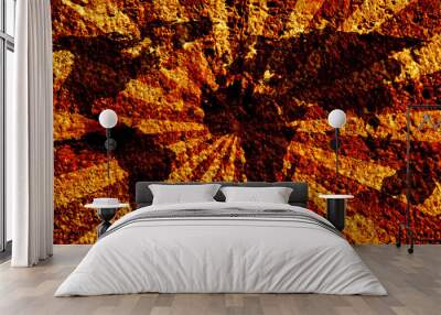 world map on sunbeam Wall mural